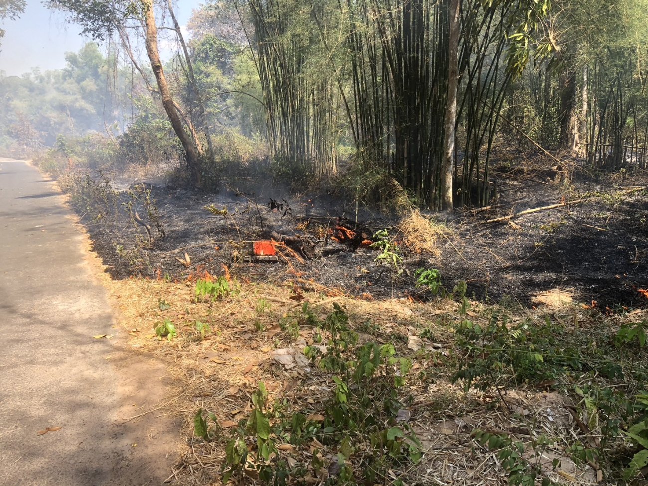 งานป้องกันเเละบรรเทาสาธารณภัย องค์การบริหารส่วนตำบลนาคำใหญ่ ได้รับเเจ้งเหตุไฟไหม้ป่า บริเวณทางไปบ้านผึ้ง (โนนเเม่พา)